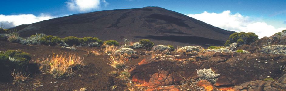 Les hotels 3 etoiles a la reunion