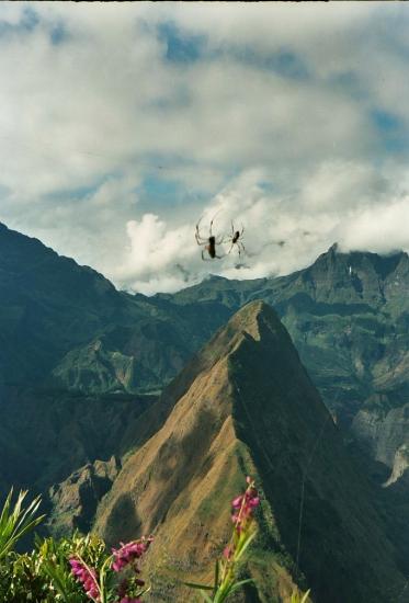 Photos paysages