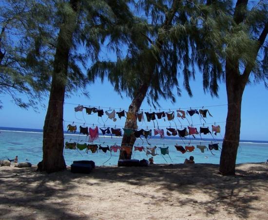 Sèche le linge !