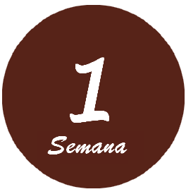 1semana