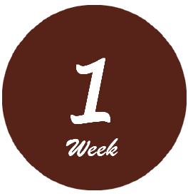 1week