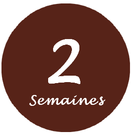2semainesa