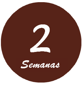 2semanans